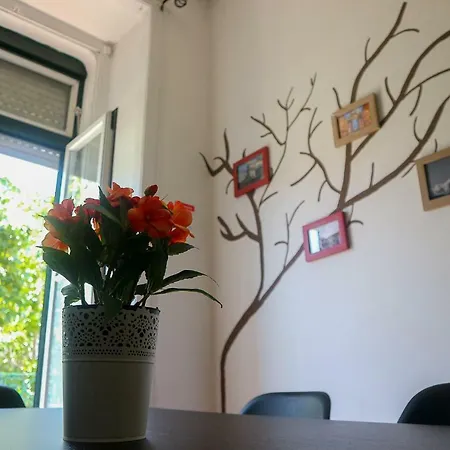My * Lisbona
